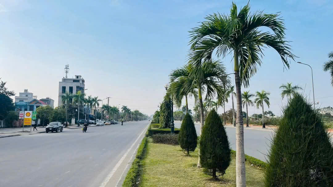 Đất mặt đại lộ Võ Nguyên Giáp - Cạnh Ngã Tư Toyota Doanh thu 3 6c269691266a9a34c37b1