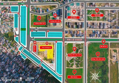 442443500 7271947812914912 5593157049102483413 n